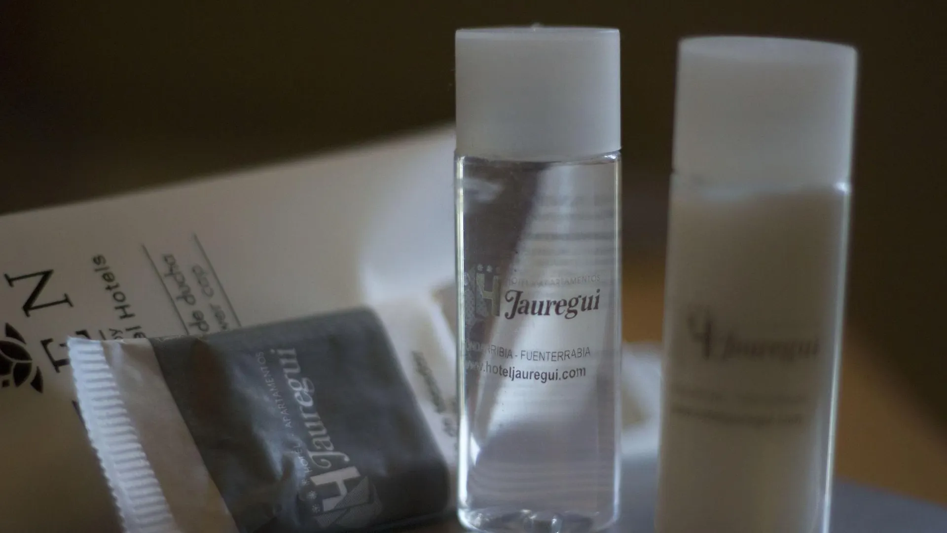 Hotel Jauregui 혼다리비아